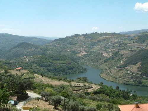 Douro valley.jpg